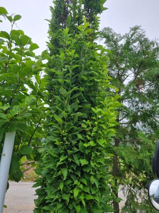 권영구님의 자유주제 · 자유게시판 작성글 사진