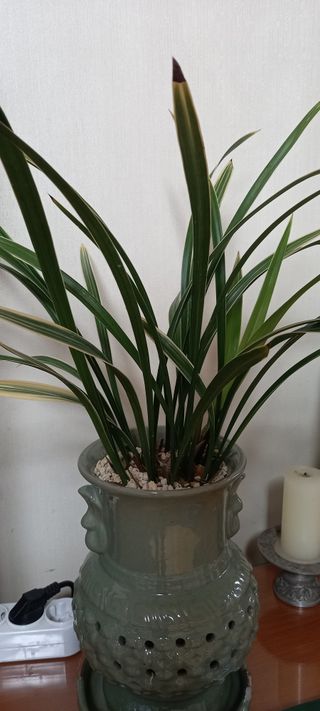 서강훈님의 기타작물 · 자유게시판 작성글 사진