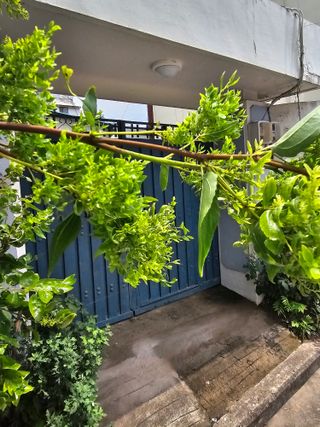 한농농약종묘사님의 자유주제 · 자유게시판 작성글 사진