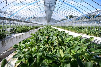 농사의신011님의 프로필