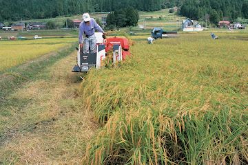 부성농원님의 프로필