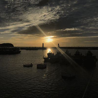 무량님의 프로필