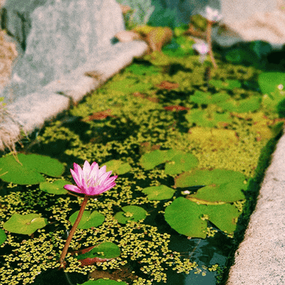 대풍기원님의 프로필