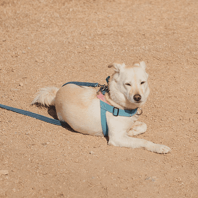 버섯송이농원54님의 프로필