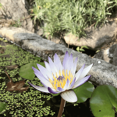 먼산 경기님의 프로필