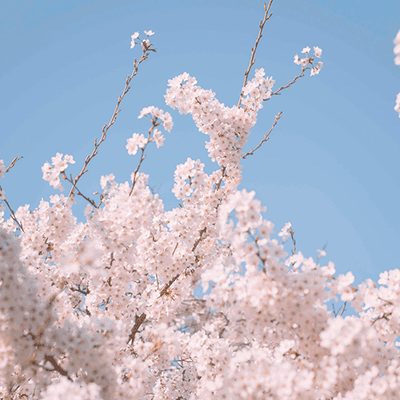 인삼채님의 프로필