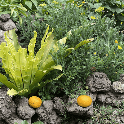 한림원님의 프로필