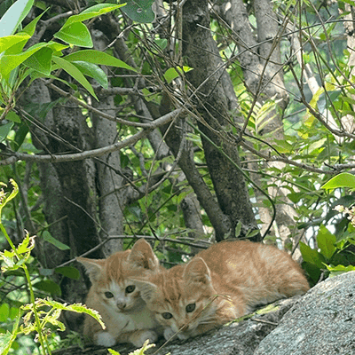 청년창업농23기님의 프로필