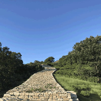 팜스쿨님의 프로필