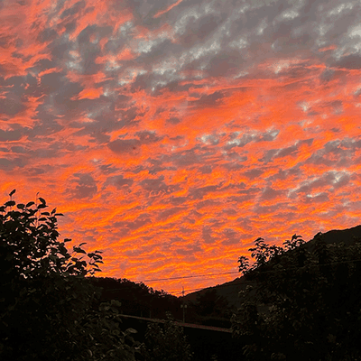 황금감귤농업65님의 프로필