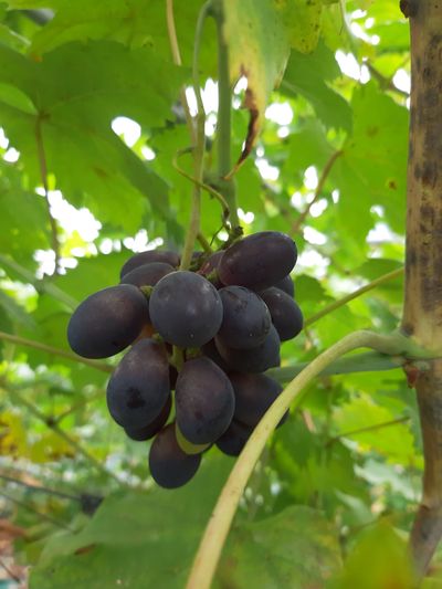 양훈근님의 프로필