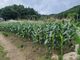 방기석님의 프로필