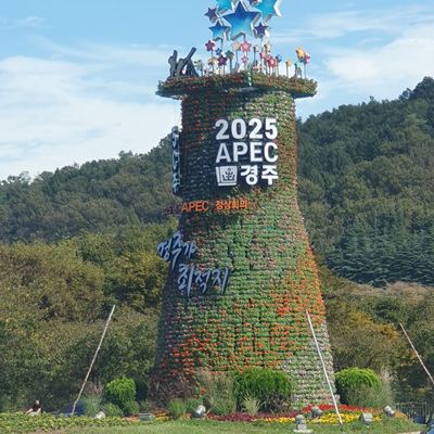 백일홍 님의 프로필
