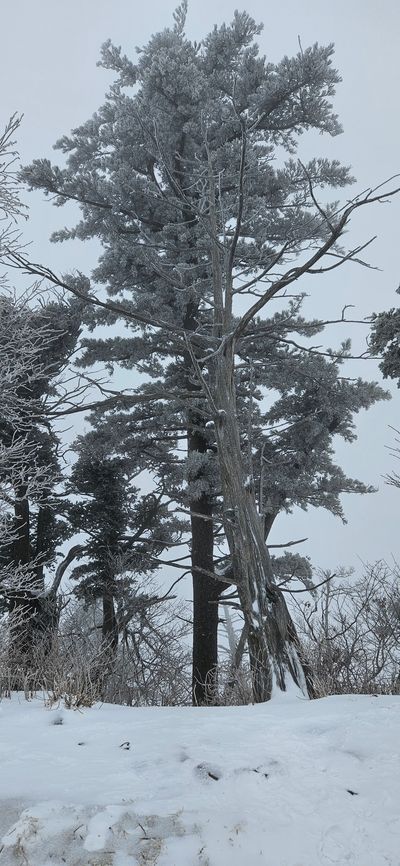 꿈꿈는농부님의 프로필