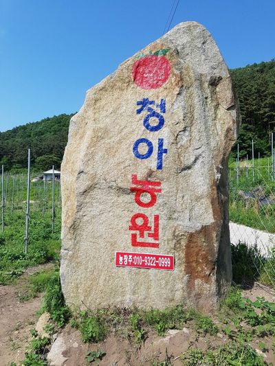 이흥식(청아농원)님의 프로필