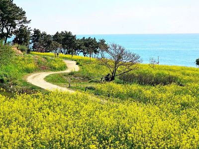산림수님의 프로필