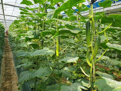 오이0213님의 프로필