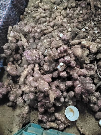 삼열님의 프로필
