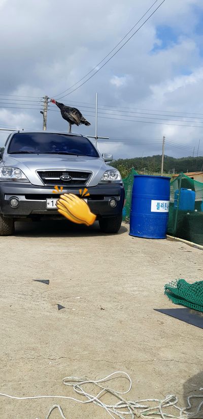 신안 초보님의 프로필