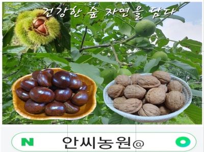 안씨농원님의 프로필