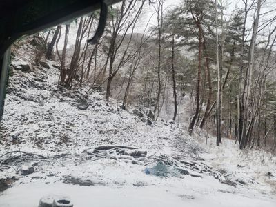 배추12035.부남님의 프로필
