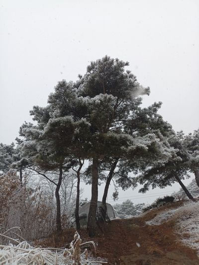 꽃봉산님의 프로필