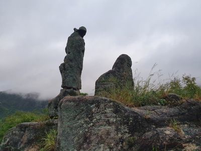 청죽(정보영)님의 프로필