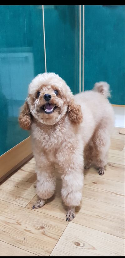 kingcar님의 프로필