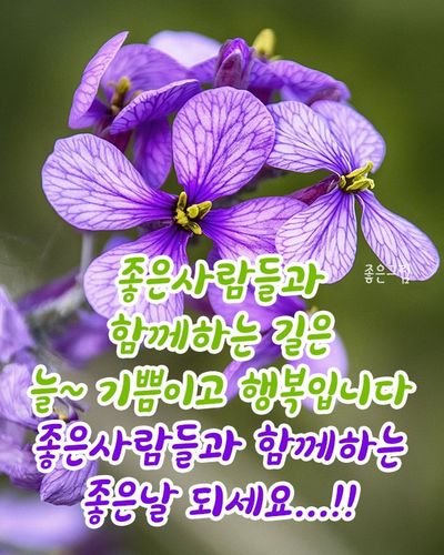 최행연님의 프로필