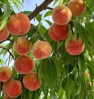 딱딱이~~님의 프로필