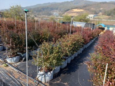 요셉베리팜님의 프로필