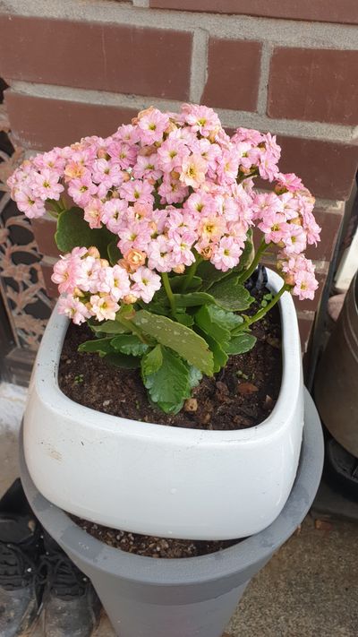 블루베리14914님의 프로필