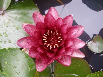 늘보농장님의 프로필