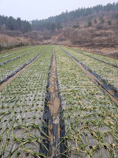 서산이은숙님의 프로필