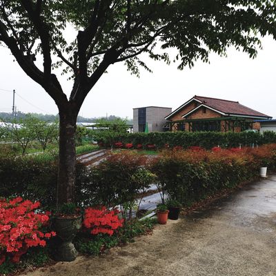 신득경님의 프로필