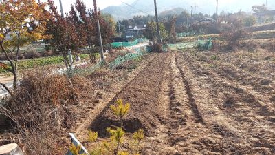 텃밭농부올빼미님의 프로필