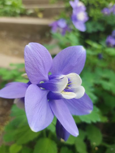 방울limeoran님의 프로필