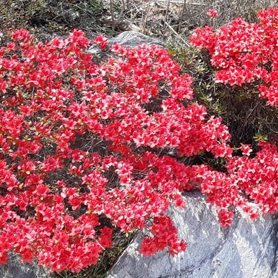 산수화2님의 프로필