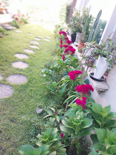 네티님의 프로필