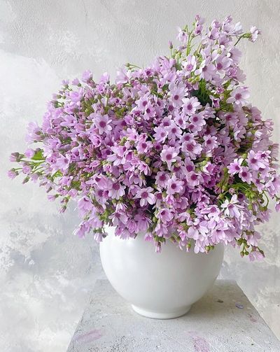 여수돌산 초보농부님의 프로필