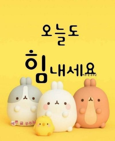 청자골강진와송님의 프로필