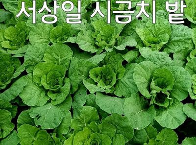 together님의 프로필