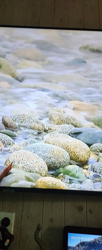 양배추22173님의 프로필