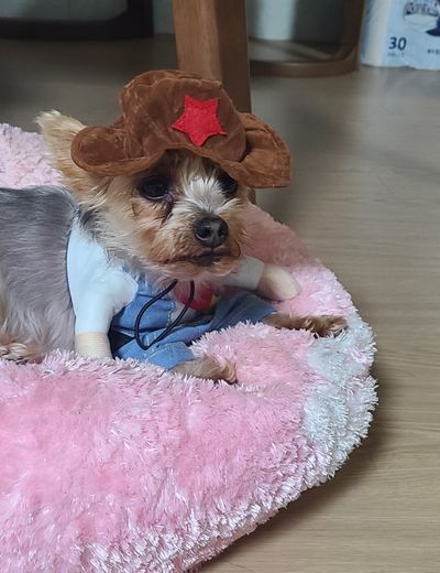 백옥자님의 프로필