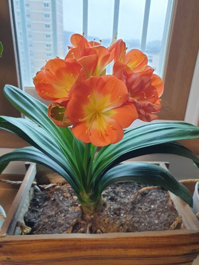 윤 바우님의 프로필