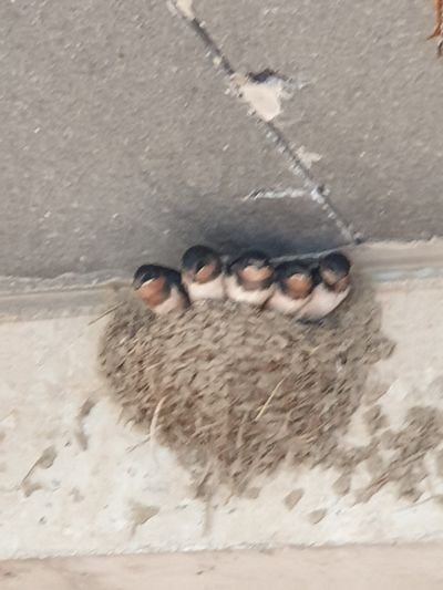 이문구님의 프로필