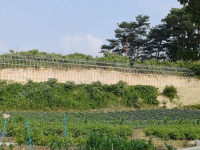채기섭님의 프로필