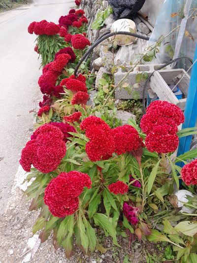 권옥희님의 프로필