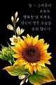 채석전님의 프로필