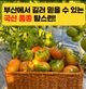 정길영님의 프로필
